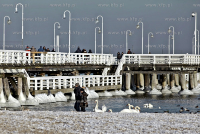 Sopot. Zatoka Gdańska zaczyna zamarzać.
31.01.2012
fot....
