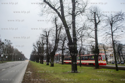 Gdańsk. Znajdująca się w ciągu Alei Zwyciestwa,...
