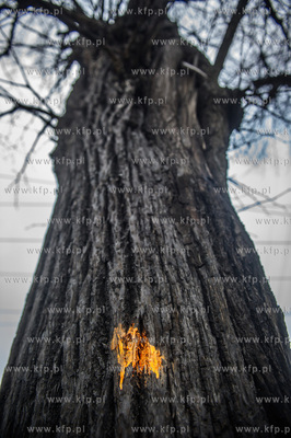 Gdańsk. Znajdująca się w ciągu Alei Zwyciestwa,...