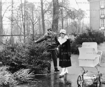 Swiateczna sprzedaz choinek na parkingu pomiedzy Grand...