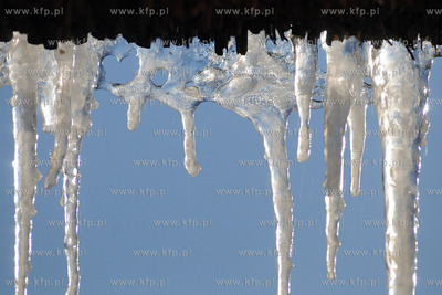 Centrum Edukacji Promocji Regionu w Szymbarku. Nz....