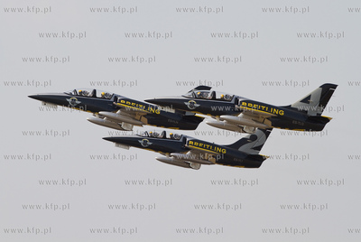 Port Lotniczy Gdansk. Piloci i maszyny L-39C Albatros...