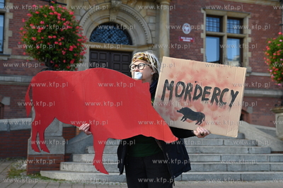 Siedziba Rady Miasta Gdańska. Protest aktywistów...