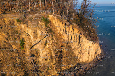 Obsypujący się Klif Orłowski w Gdyni Orłowie.
17.01.2025
fot....