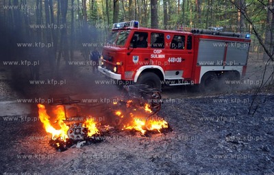 Na lesnej drodze pomiedzy Sulminem gmina Zukowo, a...