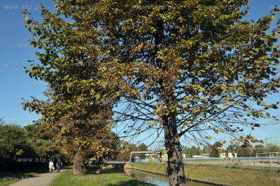 Budowa Muzeum II Wojny Swiatowej na ul. Walowej w Gdansku....