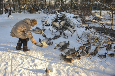 Zima w Parku Oliwskim. Karmienie ptaków. 05.01.2008...
