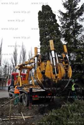 Sopot. Wykopywanie drzew i krzewow  na placyku przy...