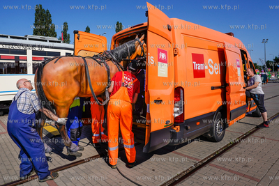 AmberExpo. Piknik rodzinny z okazji 150-lecia gdańskich...