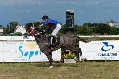 Wyścigi konne i Dzień Kaszubski na Hipodromie w Sopocie....