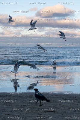 Sopot. Plaża w Sopocie. 01.02.2025 / fot. Anna Rezulak...