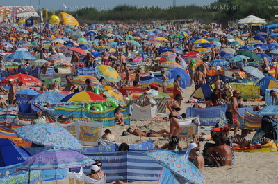 Plaza, Wladyslawowo. Sezon w pelni 08.08.2009 fot....