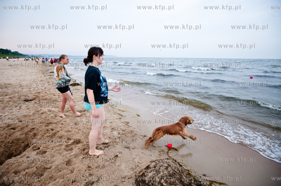 Sopocka plaza przyjazna dla zwierzat. Wprowadzona uchwala...