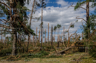 Rytel k. Chojnic. Skutki nawałnicy, która z piątku...