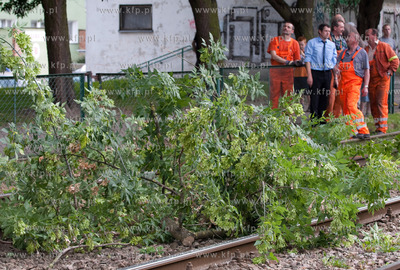 Gdansk. Uszkodzona przez drzewa trakcja tramwajowa...