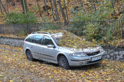 Sopot. Skutki silnego wiatru. 08.11.2015 fot. Jerzy...