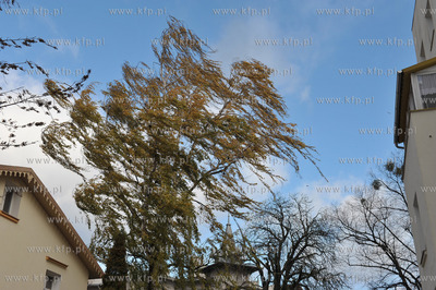 Sopot. Skutki silnego wiatru. 08.11.2015 fot. Jerzy...