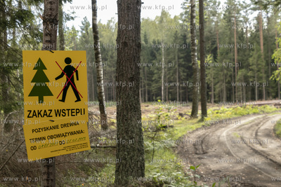 Pozyskiwanie drewna w lasach Nadleśnictwa Orneta na...