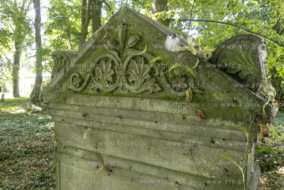 Cmentarz mennonicki z II połowy XVIII wieku w Stawcu...