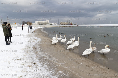 29. finał „Wielkiej Orkiestry Świątecznej Pomocy"...