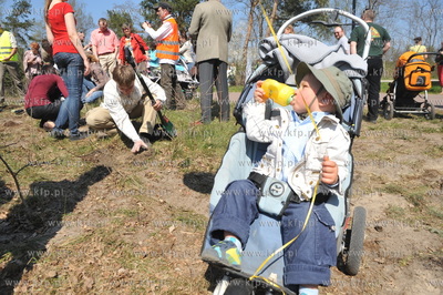 "Las ojców" - czyli sadzenie drzewek przez gdanskich...