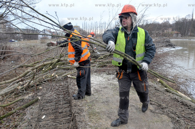 Wycinka drzew pod budowe nowej Trasy Slowackiego na...