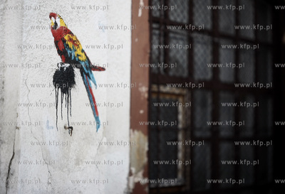 Sopot. Papuga na murze.
05.02.2010
fot. Krzysztof...