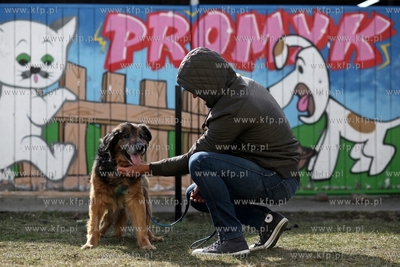 Schronisko dla Bezdomnych Zwierząt "Promyk" w Gdańsku...