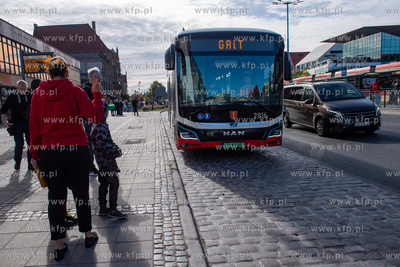 Targ Węglowy w Gdańsku. Piknik rodzinny podczas którego...