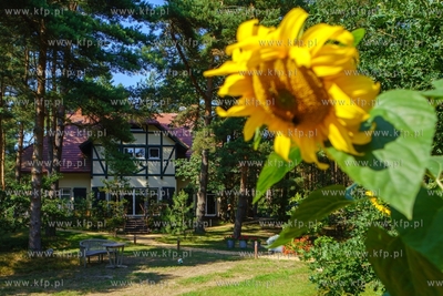 Pensjonat Kalmus, Smołdziński Las. 7.08.2021 / fot....