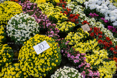 Gdansk. Cmentarz Garnizonowy. Dzien Wszystkich Swietych.
Nz...
