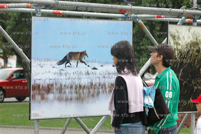 VI edycja konkursu fotograficznego firmy Bayer - EKOLOGIA...