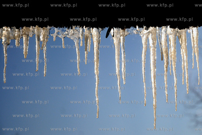 Centrum Edukacji Promocji Regionu w Szymbarku. Nz....