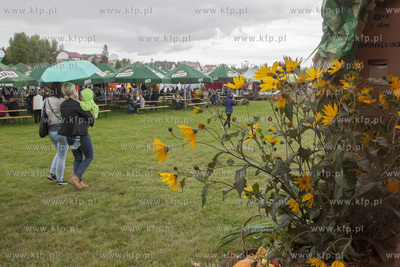 Swieto Miodu Pszczolkowskiego w Parku Lipowym w Pszczolkach...