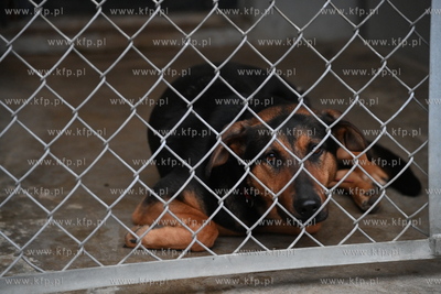 Dzień otwarty w Sopotkowie. 
8.12.2024
fot. Wojciech...