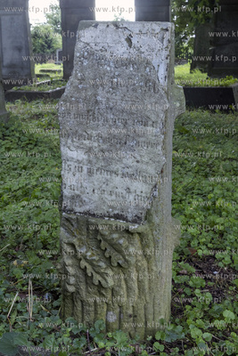 Największy w Polsce, wpisany w 1988 roku do rejestru...