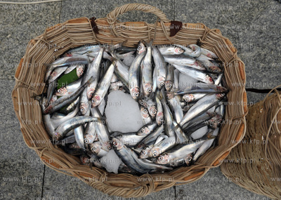 Fischmarkt w Gdansku  czyli odwzorowanie wielowiekowej...