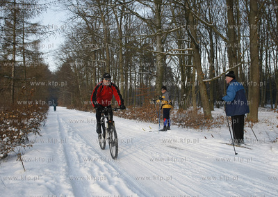 Zima w Golebiewie kolo Sopotu. 03.01.2010 fot. Krzysztof...