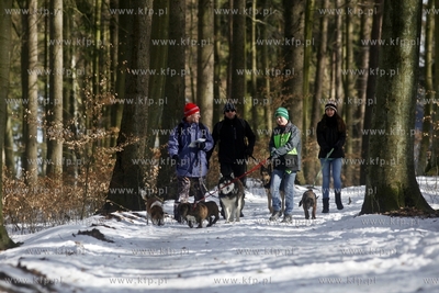Sopot. Borodziej. Zawody dogtrekkingu - inauguracja...