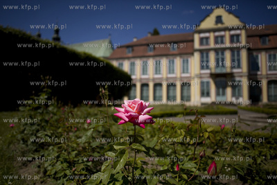 Park Oliwski. Pałac Opatów.
11.06.2015
fot. Krzysztof...