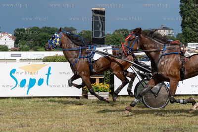 Wyścigi konne i Dzień Kaszubski na Hipodromie w Sopocie....
