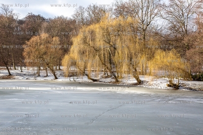 Zima w Parku Oruńskim.  04.02.2019 / Fot. Anna Rezulak...