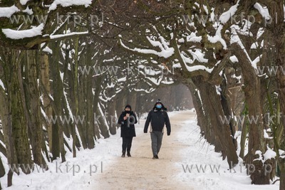 Zima w parku Oliwskim 19.01.2021 / fot. Anna Rezulak...