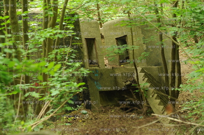 11 Bateria Artylerii Stalej w Gdyni Redlowie zbudowana...