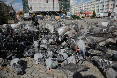 Slupsk. Plac Stary Rynek, miejsce gdzie mieszkancy...