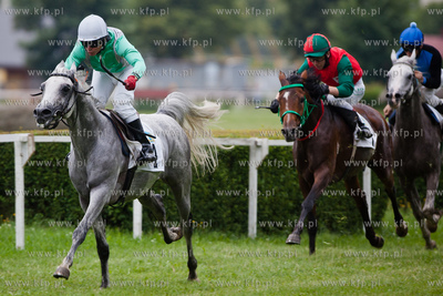 Wyscigi konne na sopockim hipodromie.
13.07.2013
fot....