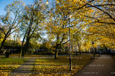 Gdańsk. Wrzeszcz. Jesien w Parku Kuźniczki.
29.10.2016
fot....