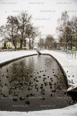 Gdańsk. Wrzeszcz. Park Uphagena.  08.02.2017 fot....