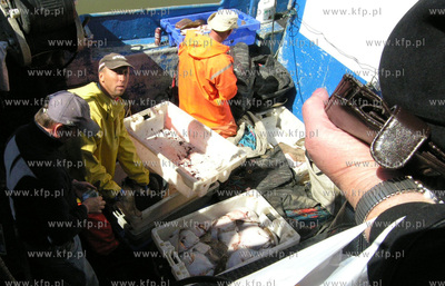 Port w Rowach. Nz rybacy sprzedaja ryby wprost z kutra.
02.05.2009
Fot....