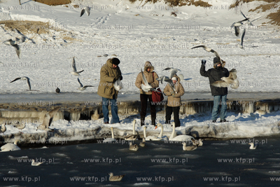Mrozny poranek w Gdyni Orlowie. Nz. spacerowicze dokarmiajacy...